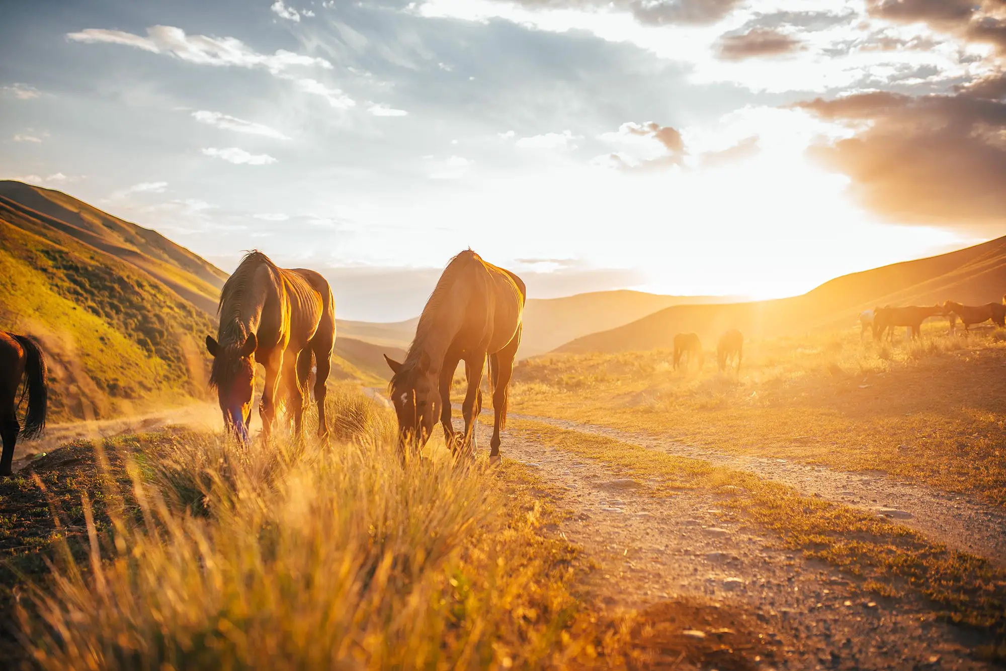 dashboard_slider_006